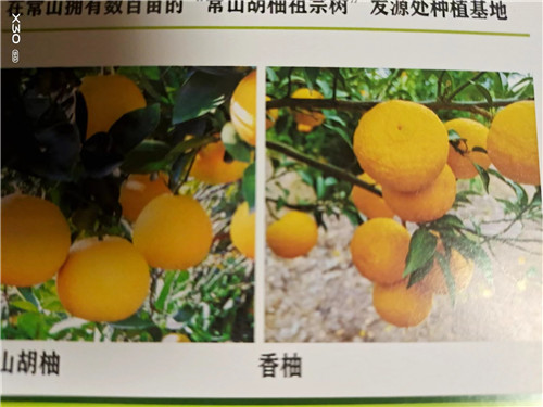 ΢��ͼƬ_20231226213847.jpg